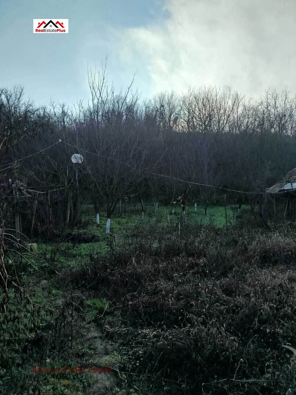 ������� ���� | Imot.bg � ����������� 12