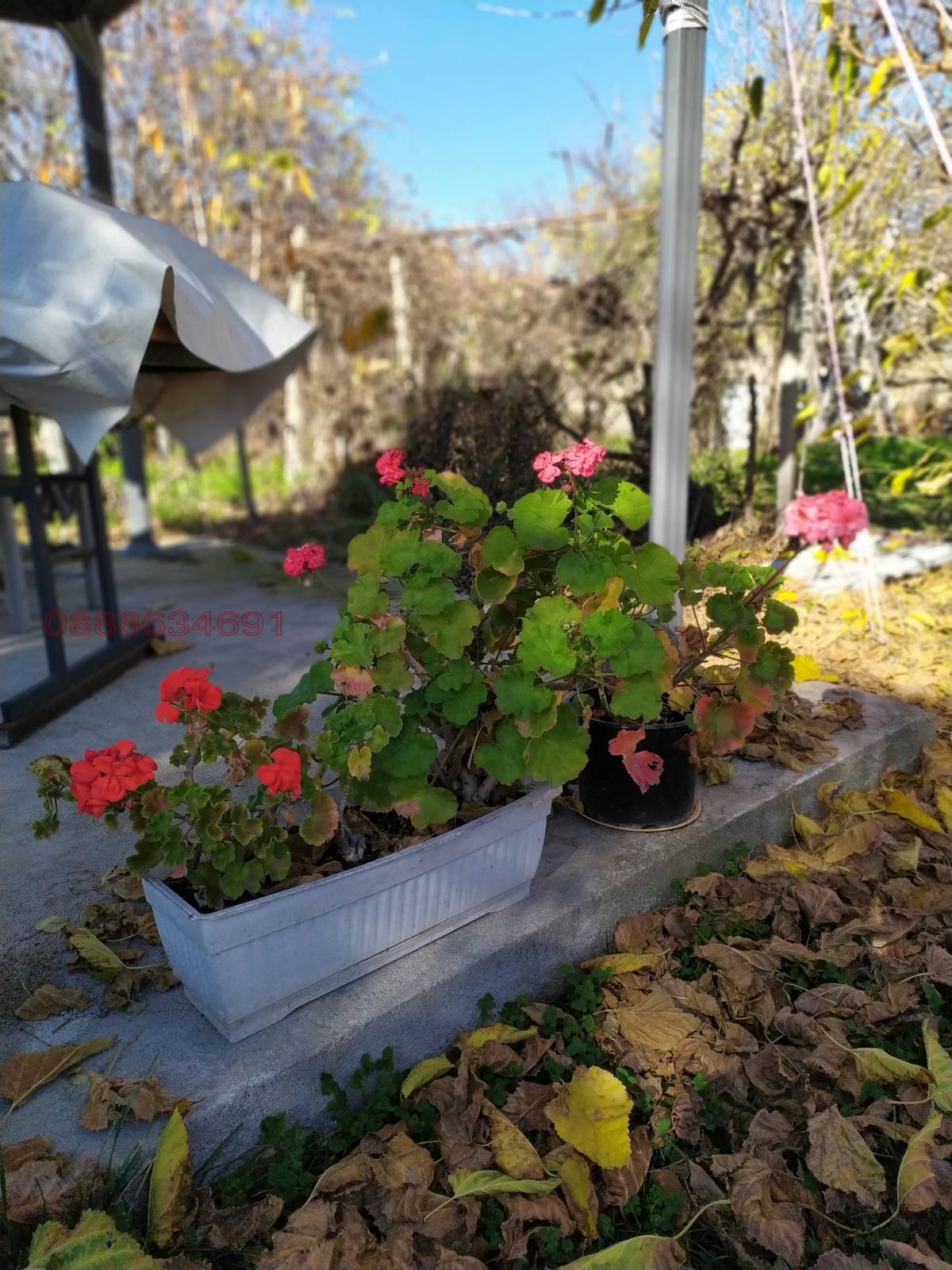 ������� ���� | Imot.bg � ����������� 9