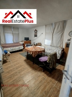 ������ ������� ����