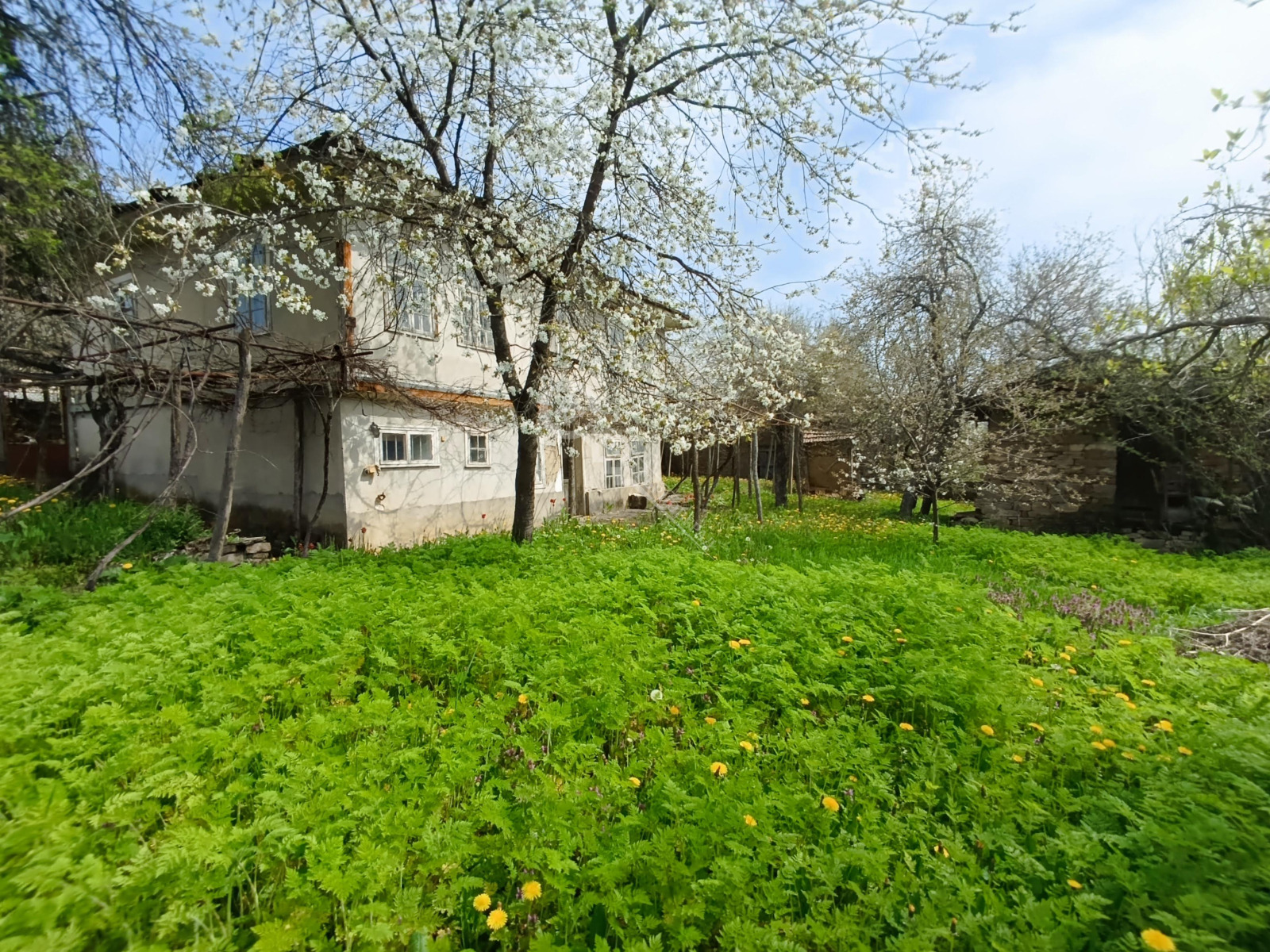 ������� ���� | Imot.bg � ����������� 15