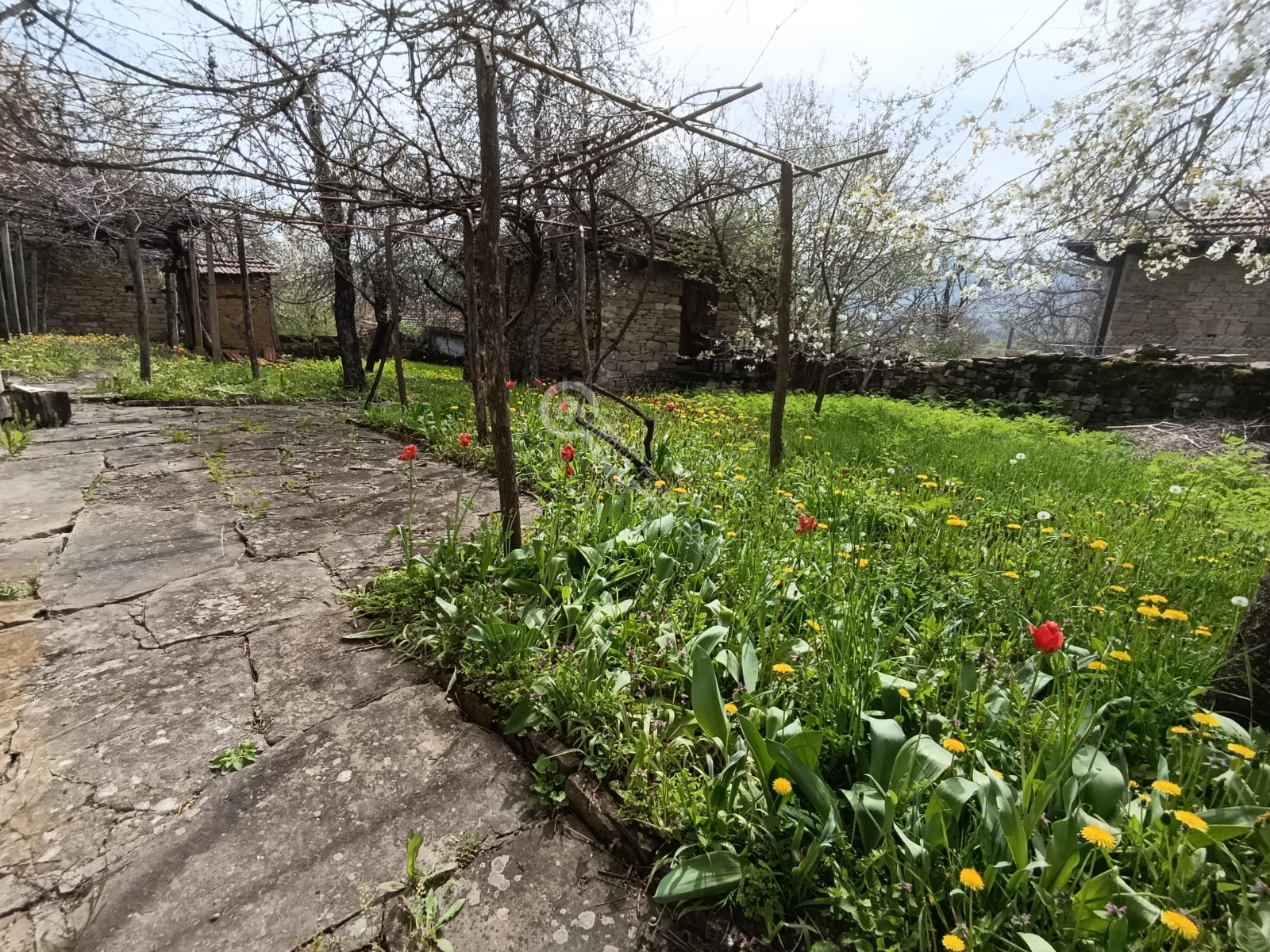 ������� ���� | Imot.bg � ����������� 13