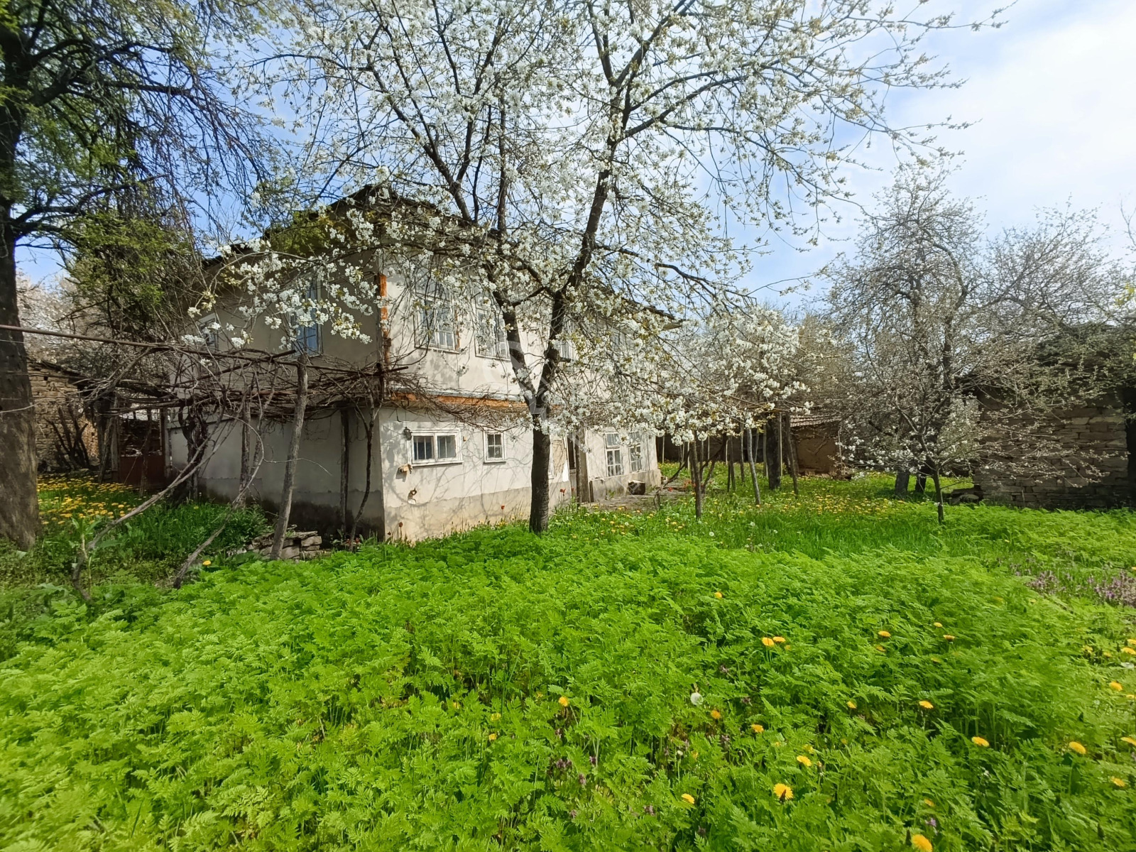 ������� ���� | Imot.bg � ����������� 2