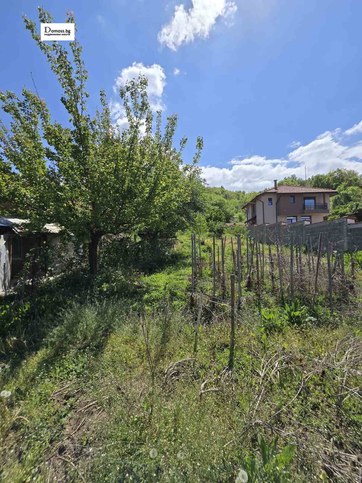 ������� ������ | Imot.bg � ����������� 5