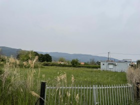 ����� ������� ������,�����, ������