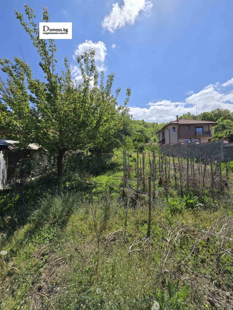 For Sale  Plot region Kyustendil , Porominovo , 980 sq.m | 31149571 - image [5]