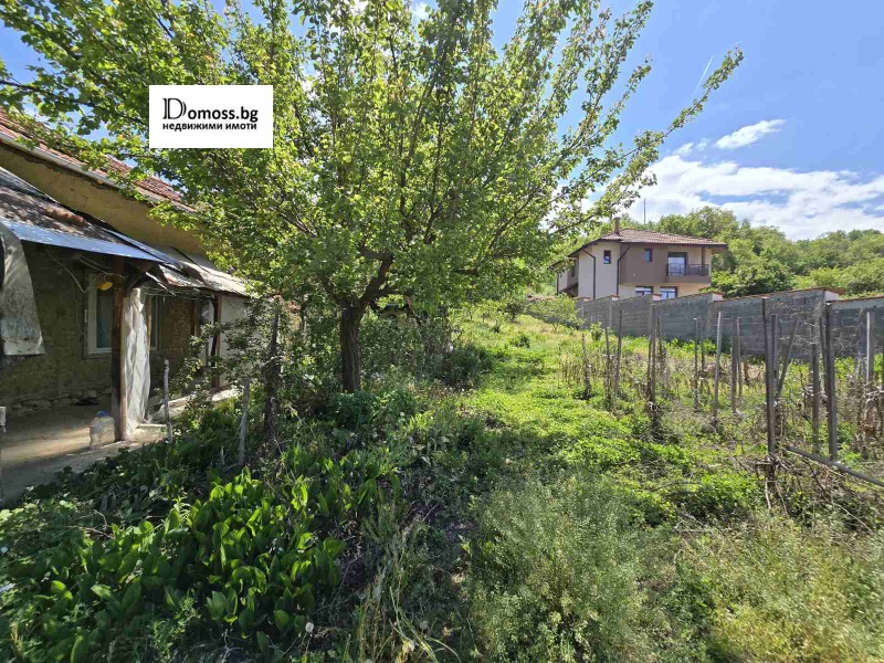 For Sale  Plot region Kyustendil , Porominovo , 980 sq.m | 31149571 - image [3]