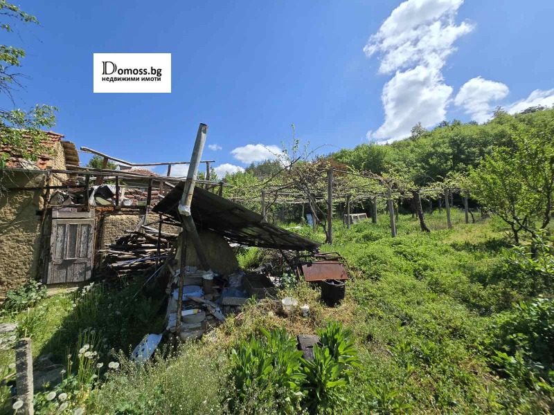 For Sale  Plot region Kyustendil , Porominovo , 980 sq.m | 31149571 - image [4]