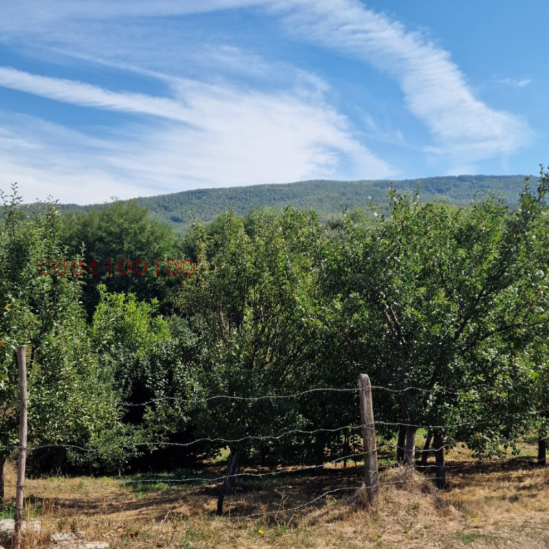 Продава  Парцел област София , с. Мирово , 800 кв.м | 14505119 - изображение [4]
