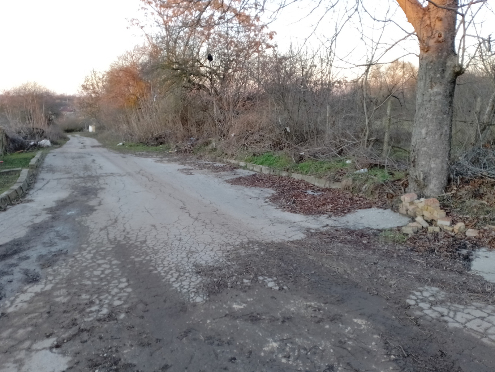 Продава ПАРЦЕЛ, с. Червенци, област Варна