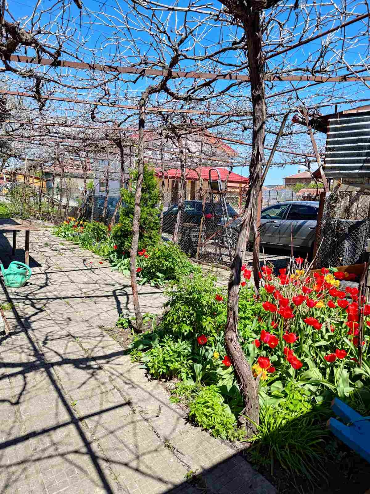 Продава КЪЩА, с. Петково, област София област, снимка 5 - Къщи - 56219017
