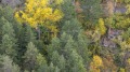 Продава ПАРЦЕЛ, гр. София, гр. Банкя, снимка 7
