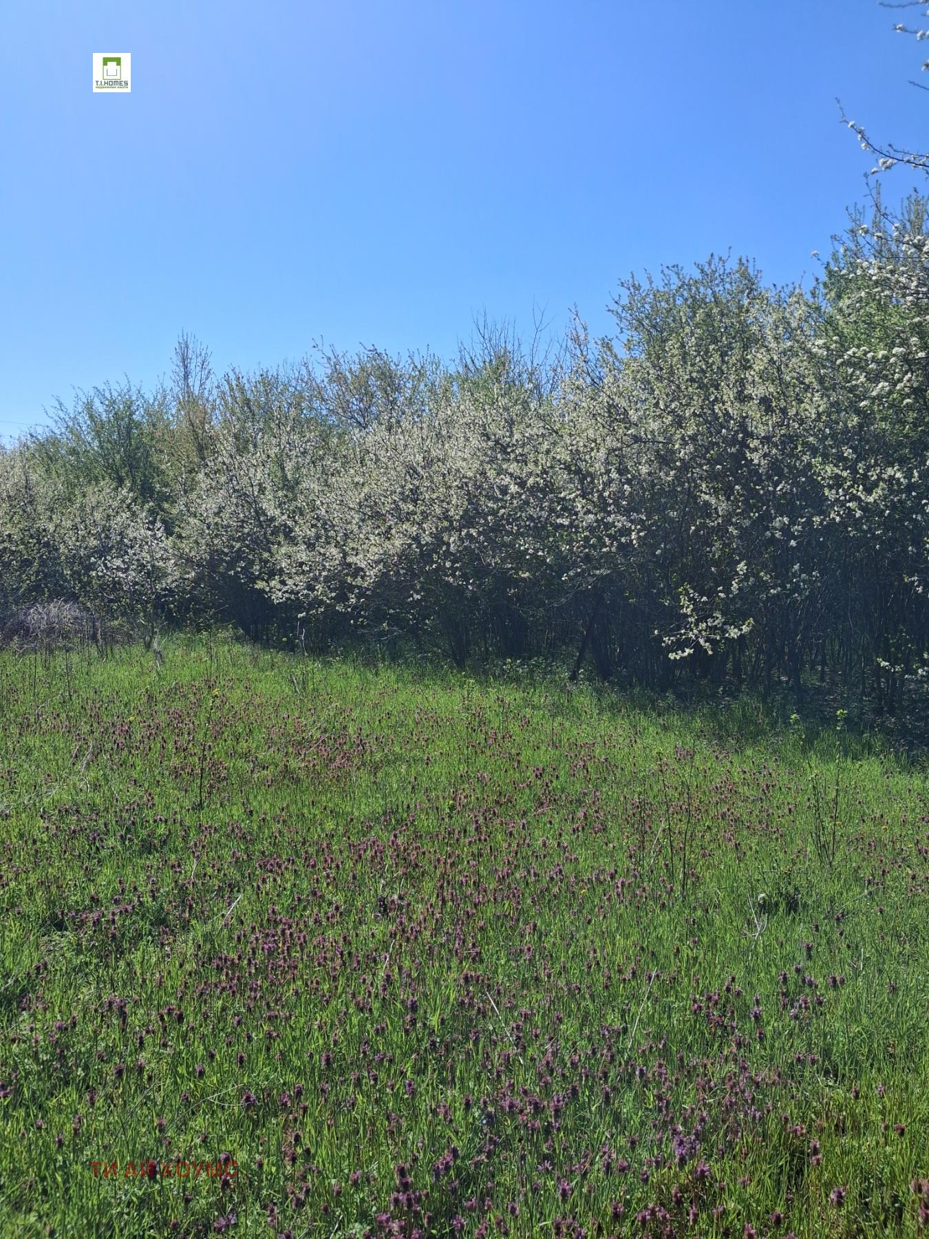 ������� ������ | Imot.bg � ����������� 1