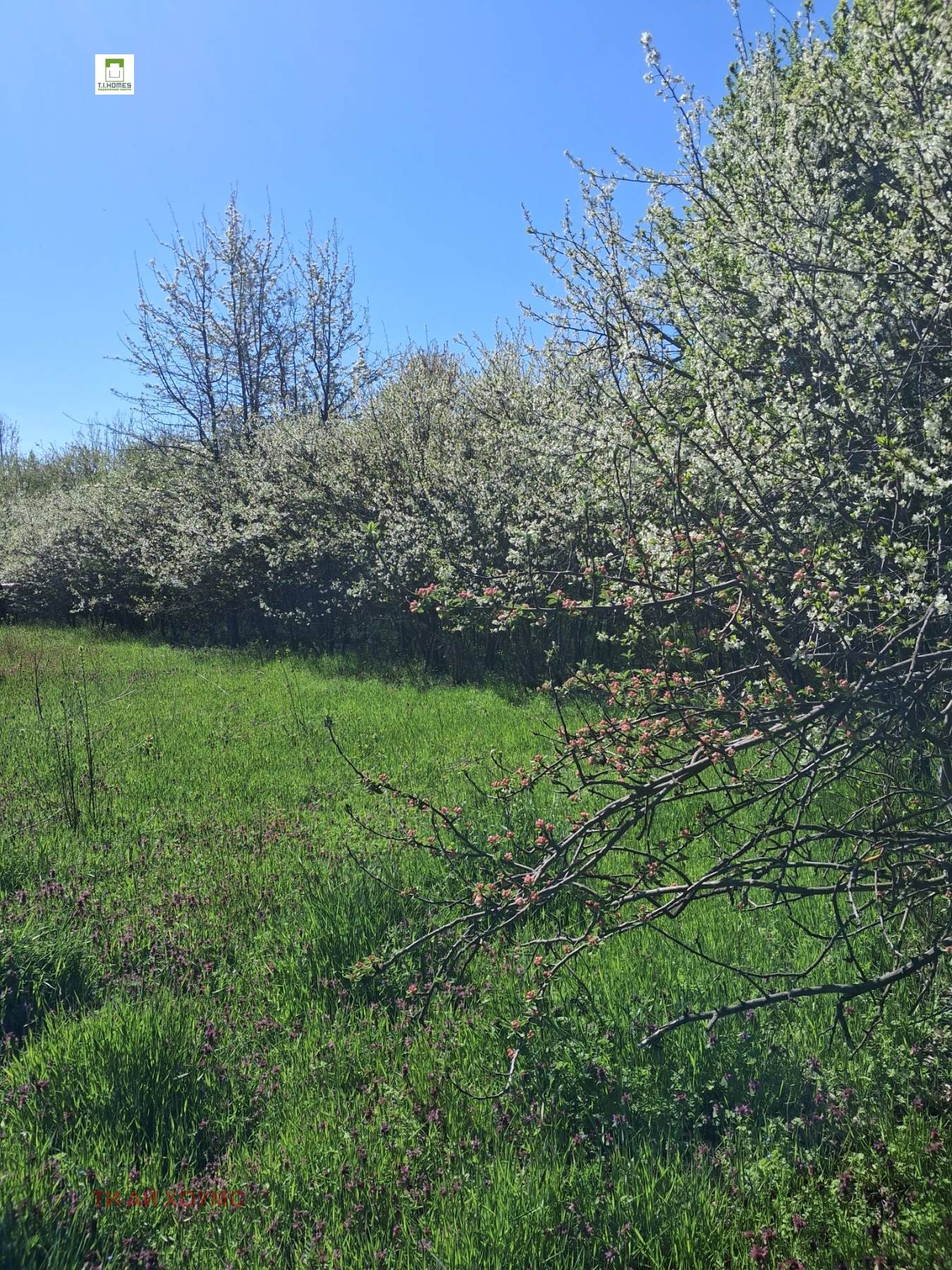 ������� ������ | Imot.bg � ����������� 2