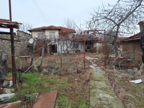 Hus Tsrancha, region Pazardzhik 2