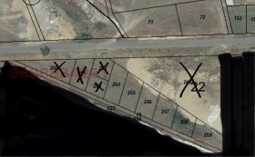 ����� ������� ������,�. �����, ������ ��������