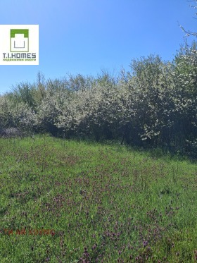 ������ ������� ������