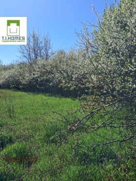 ������� ������ | Imot.bg � ����� ������ 2