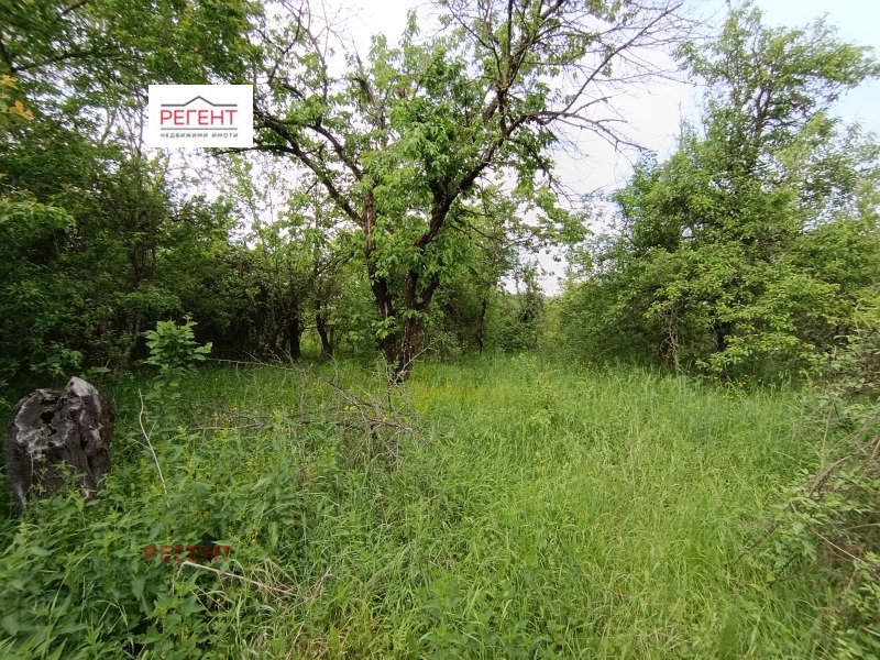 Na prodej  Spiknutí oblast Gabrovo , Vranilovci , 750 m2 | 32710721 - obraz [4]