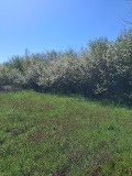 Продава ПАРЦЕЛ, гр. Божурище, област София област, снимка 1
