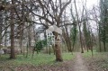 Продава 3-СТАЕН, град София, Лозенец • 498000 € • 48176558 — Holmes.bg