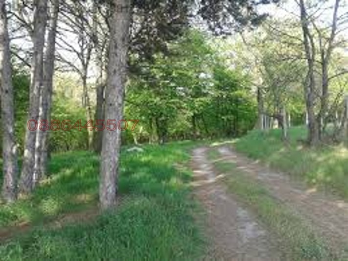 Продава ПАРЦЕЛ, гр. Варна, м-т Боровец - север, снимка 4 - Парцели - 53983250