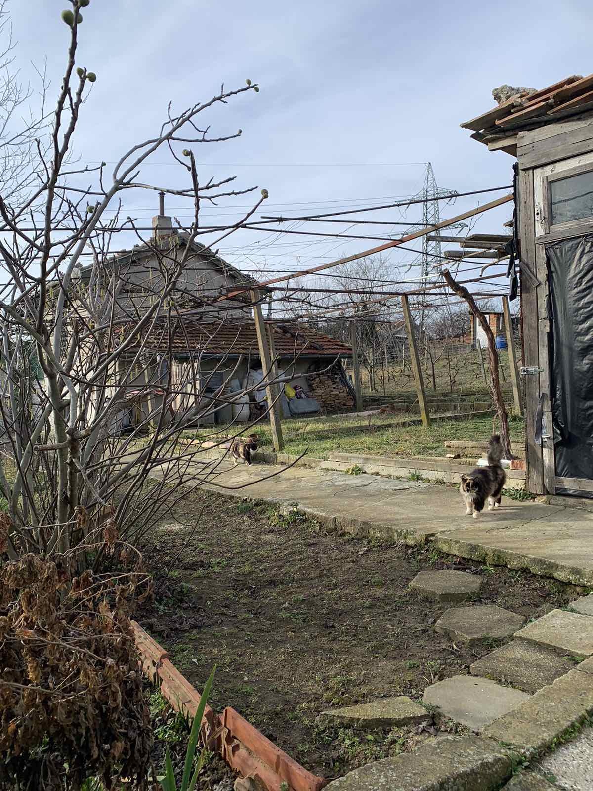 Продава ПАРЦЕЛ | Imot.bg — изображение 1