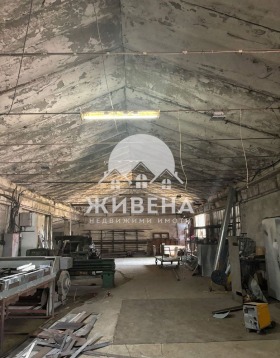 Cselekmény Balcsik, régió Dobrich 8