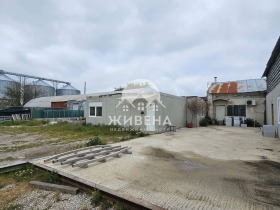 Cselekmény Balcsik, régió Dobrich 5