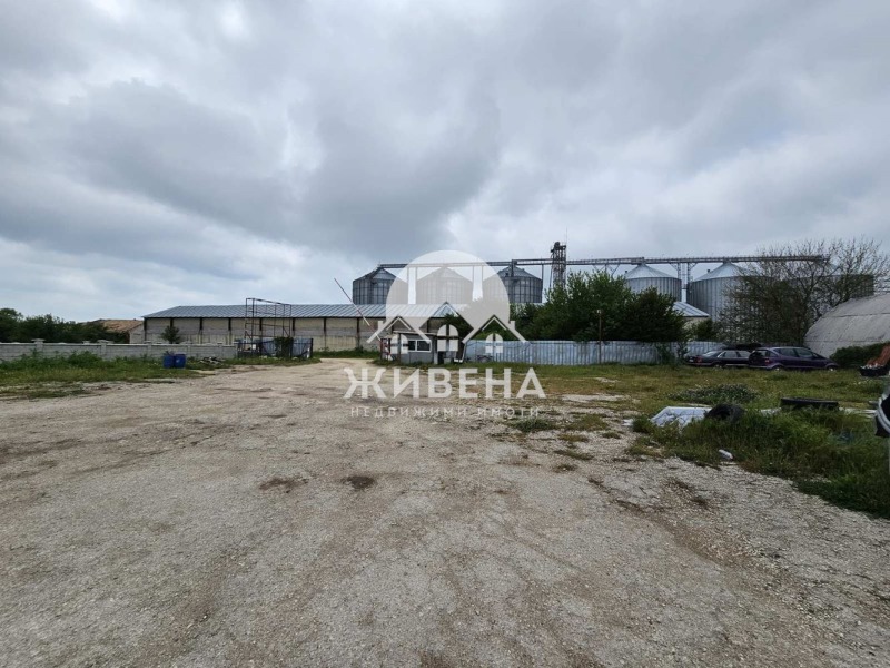 Eladó  Cselekmény régió Dobrich , Balcsik , 5454 négyzetméter | 23306986