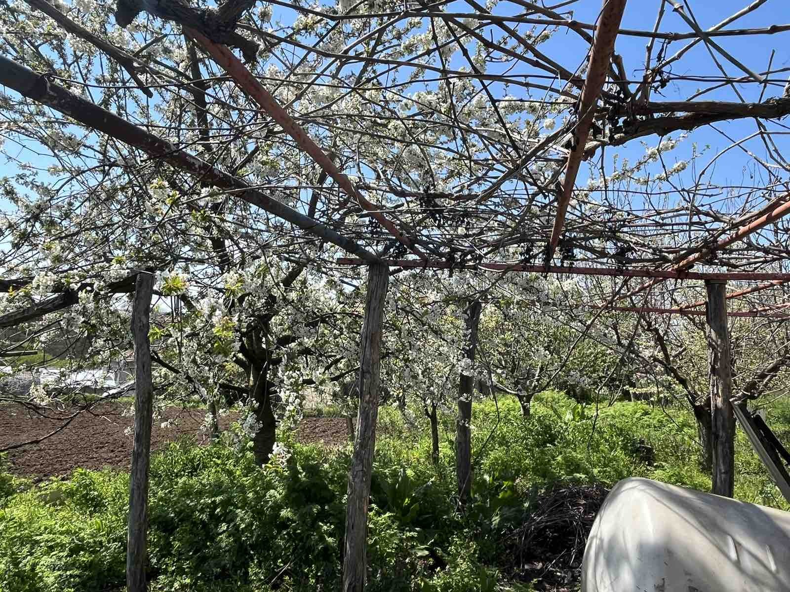 Продава КЪЩА | Imot.bg — изображение 8