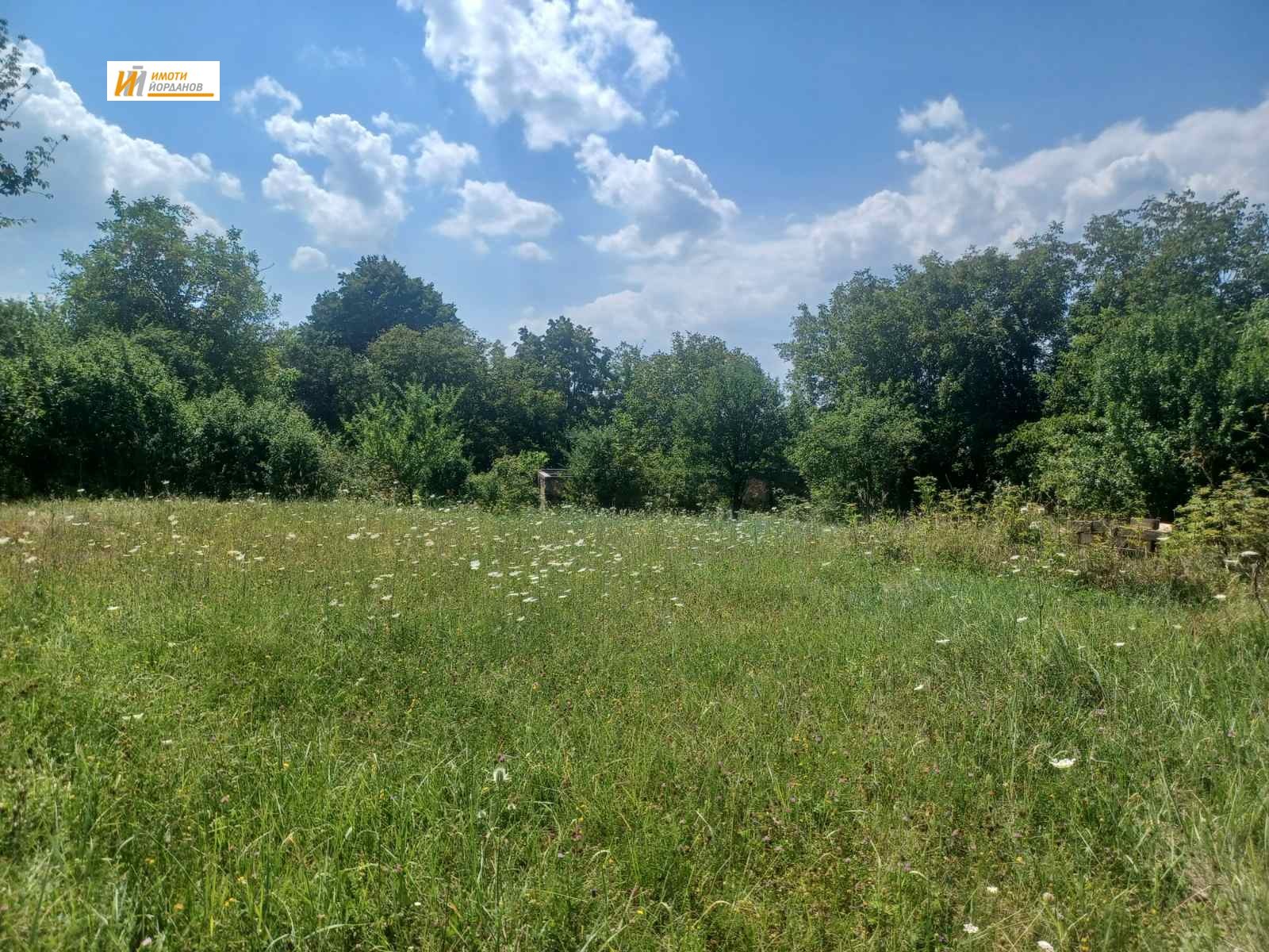 Продава ПАРЦЕЛ, с. Блъсковци, област Велико Търново, снимка 2 - Парцели - 53674854