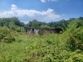 Продава ПАРЦЕЛ, с. Блъсковци, област Велико Търново, снимка 15