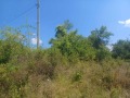 Продава ПАРЦЕЛ, с. Блъсковци, област Велико Търново, снимка 9