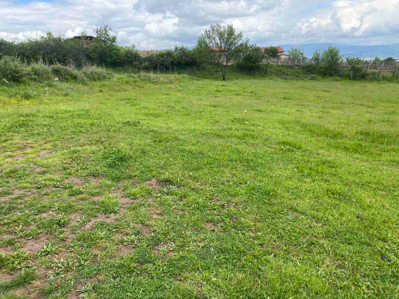 Продава ПАРЦЕЛ в област Благоевград, гр. Гоце Делчев - 600 кв.м / 31 500 € » 61 608.65 лв., ПИРИН ИМОТИ