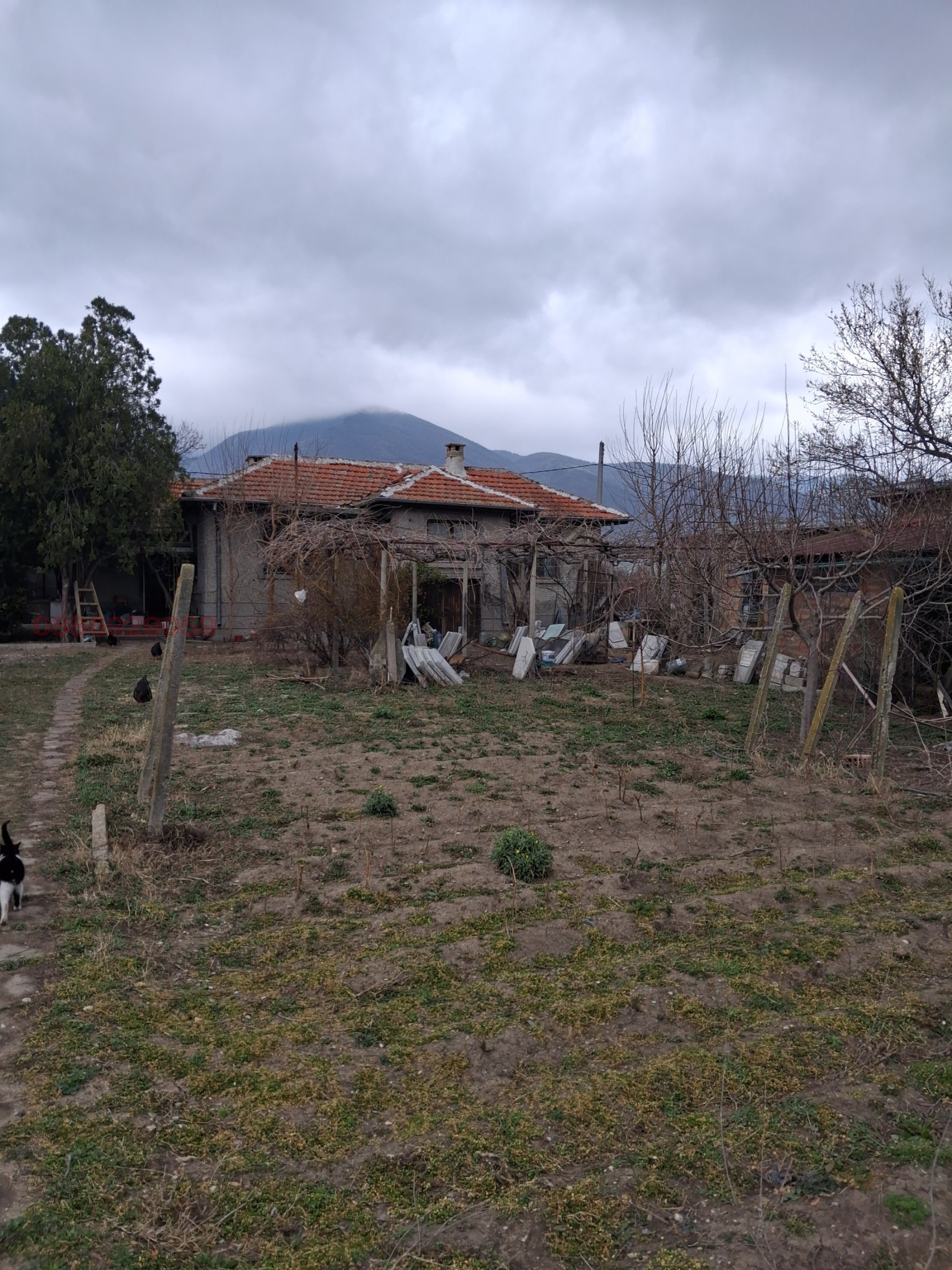 ������� ���� | Imot.bg � ����������� 5