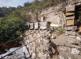 ������� ���� | Imot.bg � ����� ������ 9