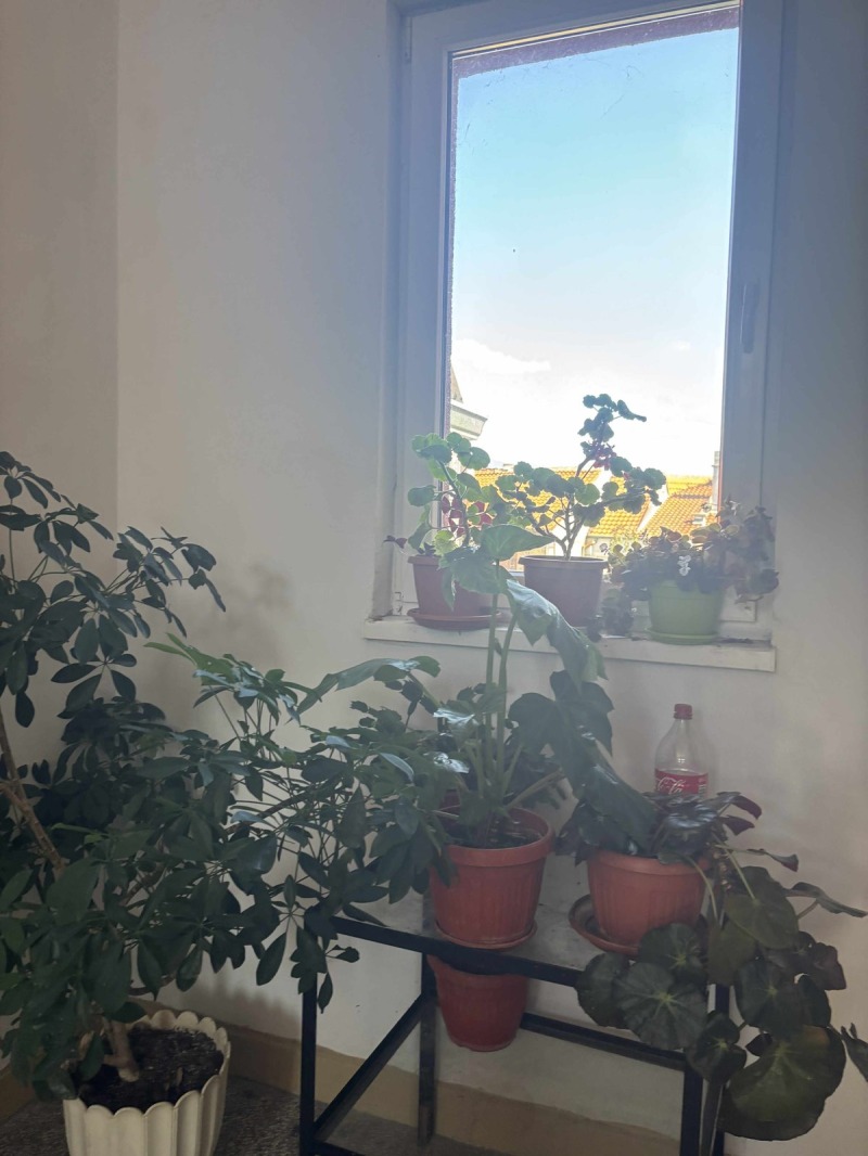 Eladó  1 hálószoba Blagoevgrad , Osvobozsdenie , 45 négyzetméter | 68350676 - kép [11]