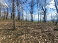 Продава ПАРЦЕЛ, област Ловеч, с. Белиш • 48900 € • 74061044 — Holmes.bg