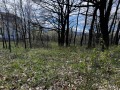 Продава ПАРЦЕЛ, град Габрово, Русевци • 45000 € / 88012.35 лв. • 19323106 3