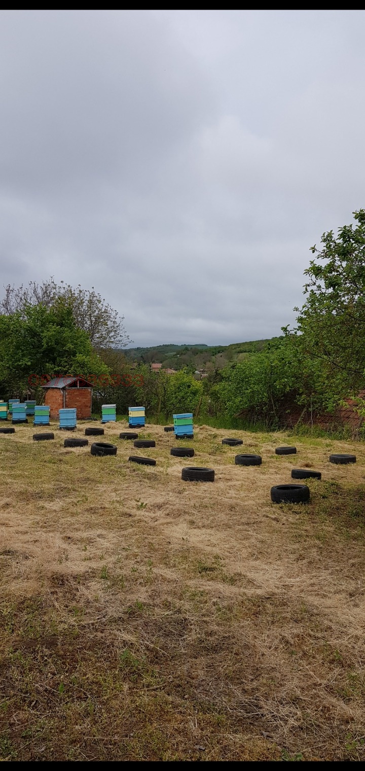 Продава ПАРЦЕЛ, с. Долно Абланово, област Русе, снимка 5 - Парцели - 52780675