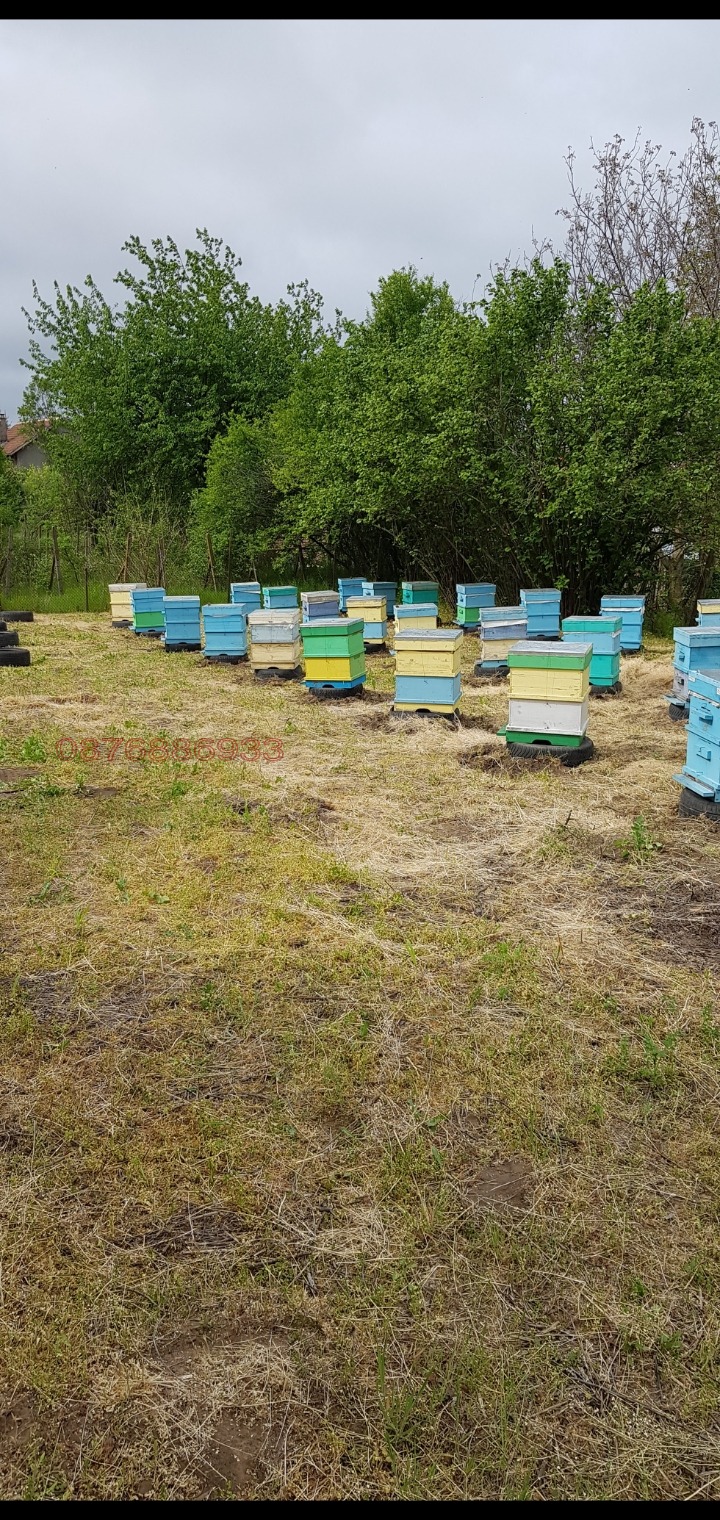 Продава ПАРЦЕЛ, с. Долно Абланово, област Русе, снимка 6 - Парцели - 52780675