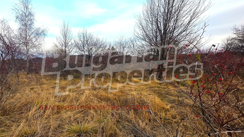 Продава ПАРЦЕЛ, гр. София, с. Железница, снимка 5 - Парцели - 53266487