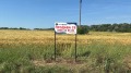Продава  Парцел област Добрич , гр. Шабла , 5000 кв.м | 68992435
