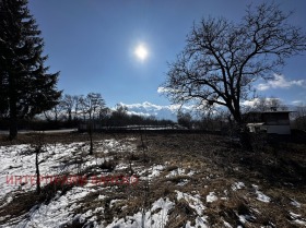 Plot Razlog, region Blagoevgrad 10