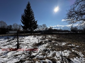 Plot Razlog, region Blagoevgrad 12