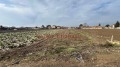 Продава ПАРЦЕЛ, с. Градина, област Пловдив, снимка 3