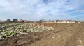 Продава ПАРЦЕЛ, с. Градина, област Пловдив, снимка 4