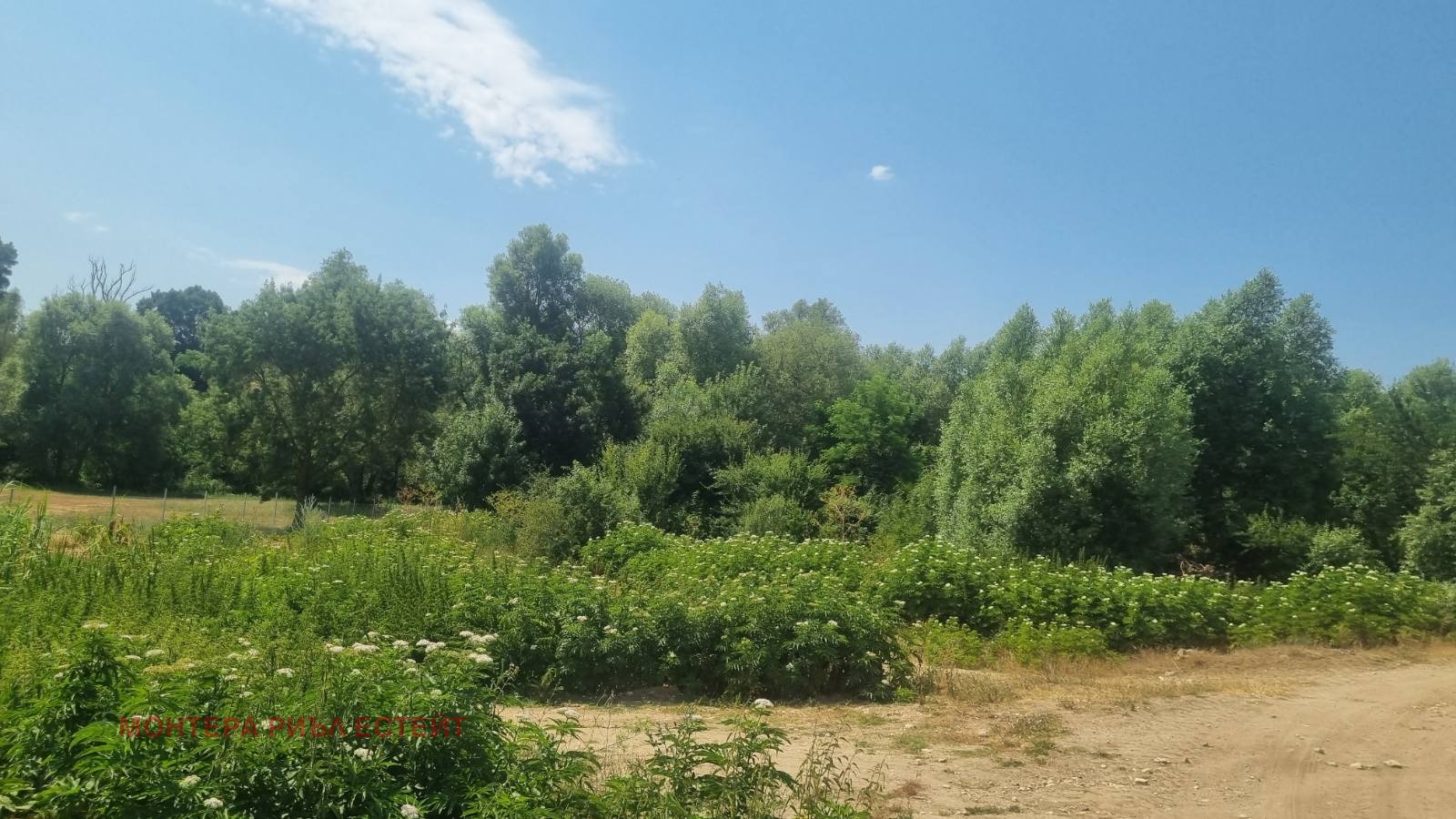 ������� ���������� ���� | Imot.bg � ����������� 3