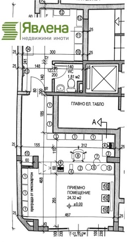 ����� ������� �������,���� �����, ������