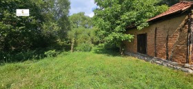 Handlung Kralew dol, region Pernik